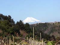 幼稚舎の杜は富士山を望む絶景の地にあります                  