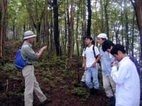 京都大学演習林で大畠教授の 講義を受ける 